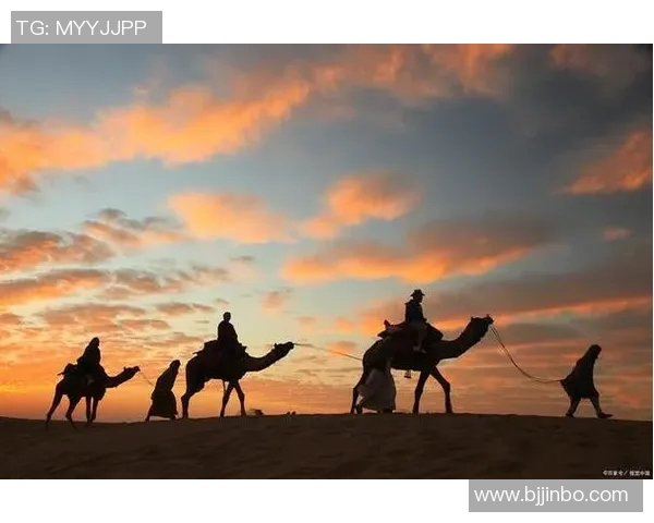 苏京的艺术之旅：探索传统与现代交融的文化魅力与创新之路