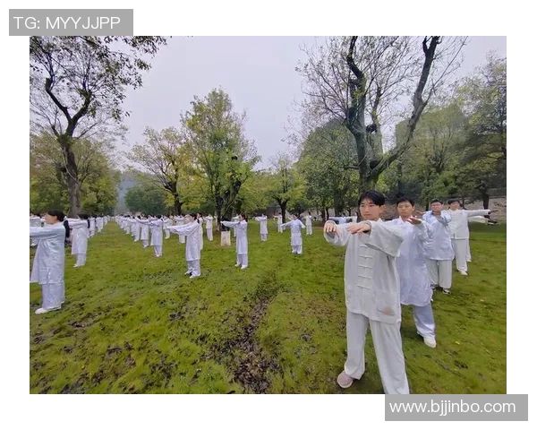 武当山武术的传承与发展探索:文化底蕴与现代实践的完美结合